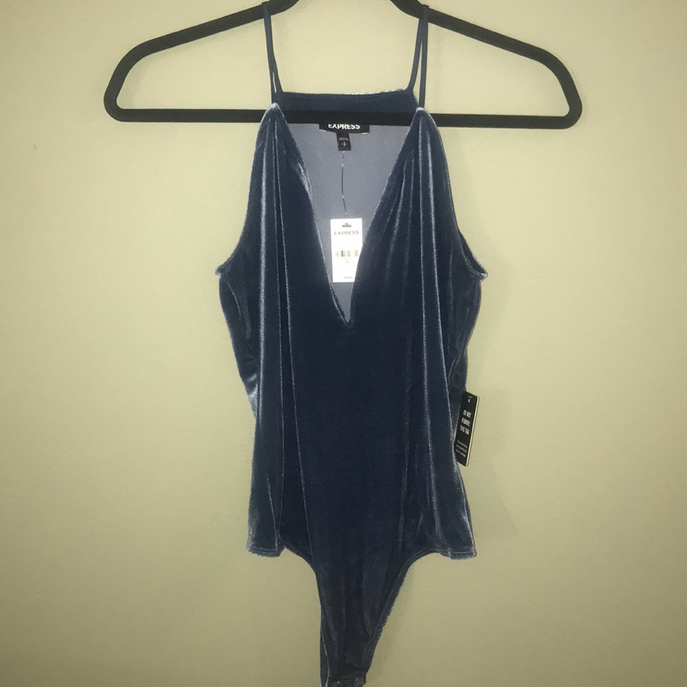 Express Petite Plunging V-Neck Velvet Bodysuit